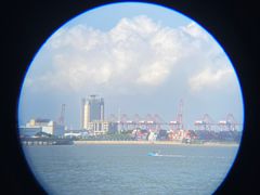 -大湾区中央湿地公园