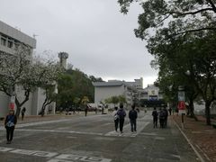 -大埔公路-马料水段香港中文大学(公交站)