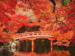 -醍醐寺