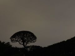 -南宁南湖公园