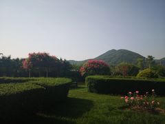 -亚龙湾国际玫瑰谷