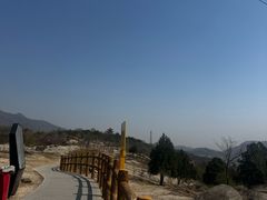 -白水寺森林公园