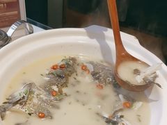 -老傅家湘潭水煮活鱼店(众一国际店)