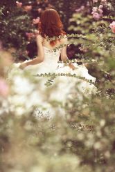 -施华洛婚纱摄影会所(范阳中路店)