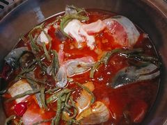 -遇东北林区铁锅炖(南开店)