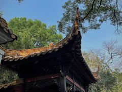 -广州兰圃