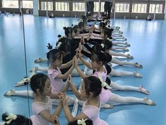 -西安小天鹅艺术团(曲江Alice店)