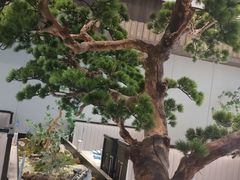 -聆桂烤鸭·金奖烤鸭(静联广场店)