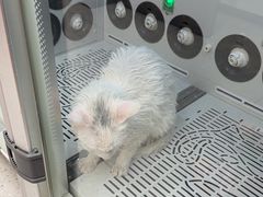-FAELING PETS美天灵宠物(富力广场店)