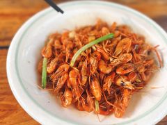 -小小饭店·休闲农庄·安吉松树林里的农家菜