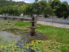 -红山村