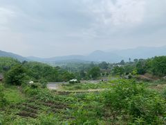 -塔川景区