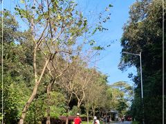 -火炉山森林公园