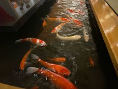 -月龍吟(朝龙汇店)