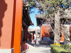 -北京艺术博物馆(万寿寺)