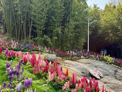 -沂蒙云瀑洞天景区