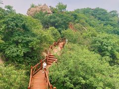 -大岭沟猕猴桃谷风景区