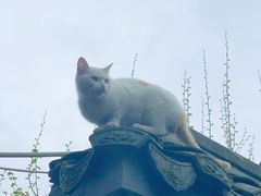 -海窝子古镇
