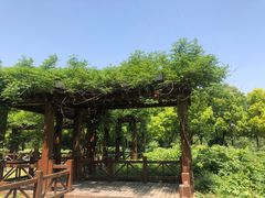 -幕燕滨江·长江观音景区