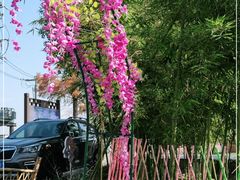 -大莲湖农家乐(青西郊野公园店)