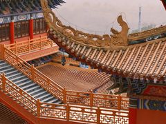 -东莞市大岭山森林公园