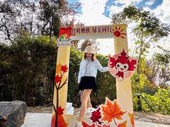 -广州市石门国家森林公园
