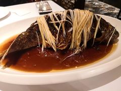 -津菜典藏河西店(水上店)