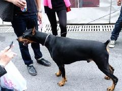 稀饭-东浩兰生上海世博展览馆