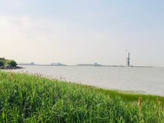 -吴淞炮台湾湿地森林公园烧烤区