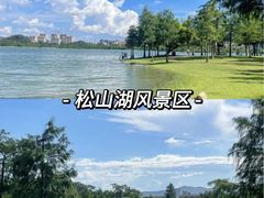-银瓶山森林公园(谢岗镇)