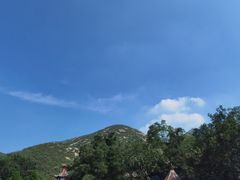 -九宫格重庆火锅(北国商城店)