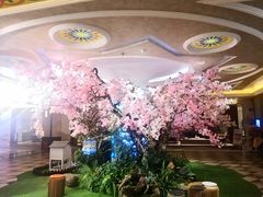 -上海月星家居(澳门路店)