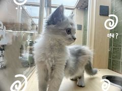 -首开·龙湖成都西宸天街