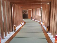 -重庆南山海昌汤都