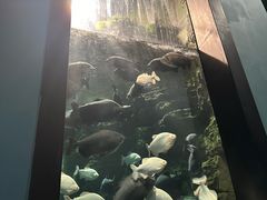 -成都浩海立方海洋公园