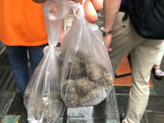 -叶氏麻糍(鼓浪屿店)