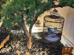 -小厨娘淮扬菜(六合欢乐港店)