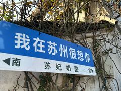-苏妃奶酪(平江路店)