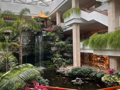 -白天鹅宾馆-宏图府餐厅