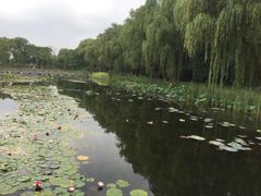 -昆山城市生态森林公园