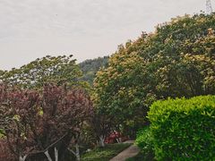 -幕燕滨江·燕子矶公园