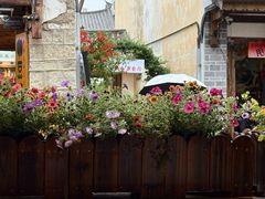 -尽善百年古院餐厅(王家老宅店)