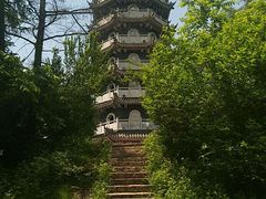 -黄椅山火山森林公园