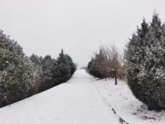 -香山公园
