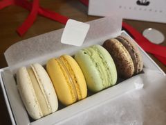 -BLACKSWAN黑天鹅(环球店)
