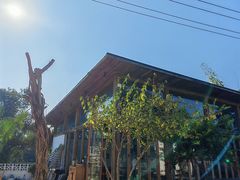 -柠檬花院烤肉·会议团建·聚会·求婚(三圣乡店)