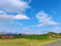 -径山花海
