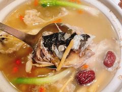 天麻鱼头汤-陶陶居酒家(环市东店)