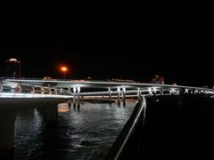 -演武大桥观景平台