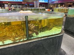 -国惠大酒楼(仓山万达店)